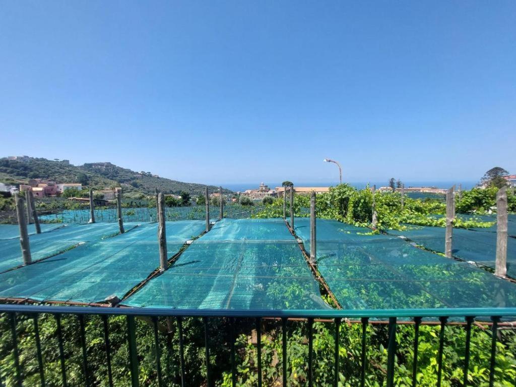 Il Pozzillo Maison Massa Lubrense Dış mekan fotoğraf